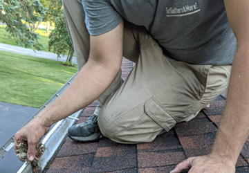 Gutter Cleaning